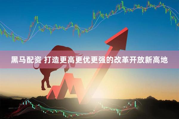 黑马配资 打造更高更优更强的改革开放新高地