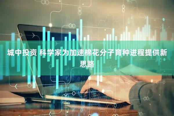 城中投资 科学家为加速棉花分子育种进程提供新思路