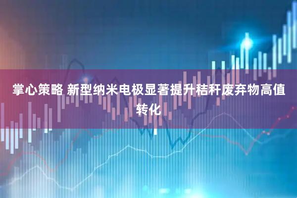 掌心策略 新型纳米电极显著提升秸秆废弃物高值转化