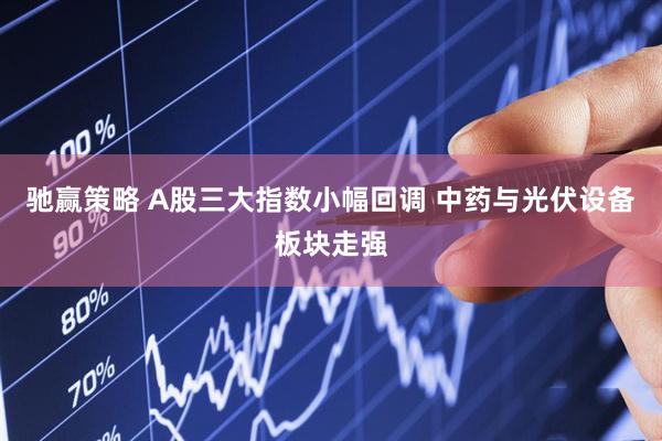 驰赢策略 A股三大指数小幅回调 中药与光伏设备板块走强