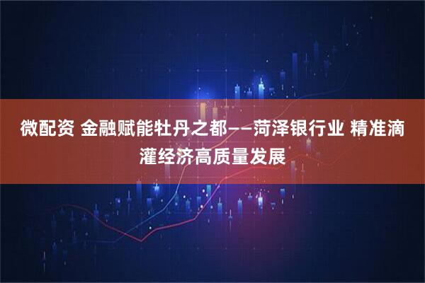 微配资 金融赋能牡丹之都——菏泽银行业 精准滴灌经济高质量发展