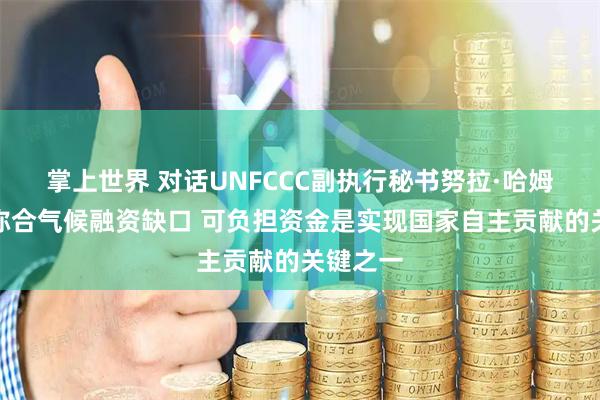 掌上世界 对话UNFCCC副执行秘书努拉·哈姆拉吉：弥合气候融资缺口 可负担资金是实现国家自主贡献的关键之一