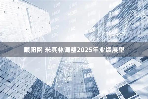 顺阳网 米其林调整2025年业绩展望