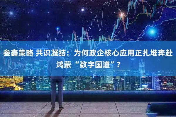 叁鑫策略 共识凝结:为何政企核心应用正扎堆奔赴鸿蒙 “数字国道”?