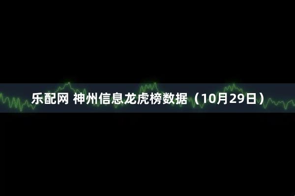 乐配网 神州信息龙虎榜数据（10月29日）