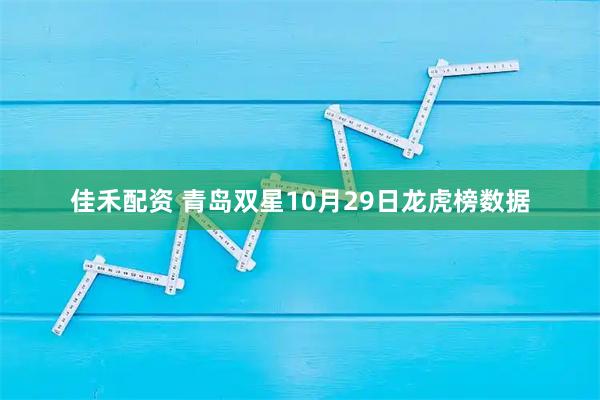 佳禾配资 青岛双星10月29日龙虎榜数据