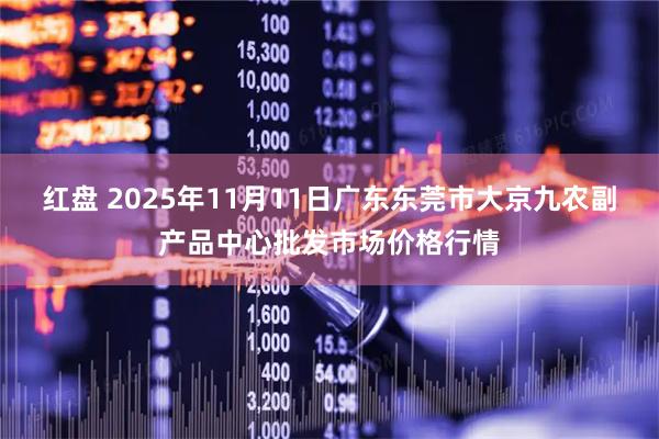 红盘 2025年11月11日广东东莞市大京九农副产品中心批发市场价格行情