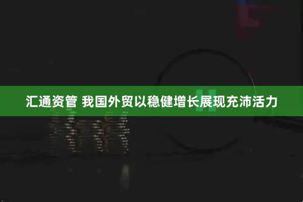 汇通资管 我国外贸以稳健增长展现充沛活力