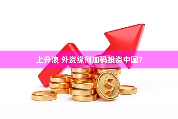 上升浪 外资缘何加码投资中国？
